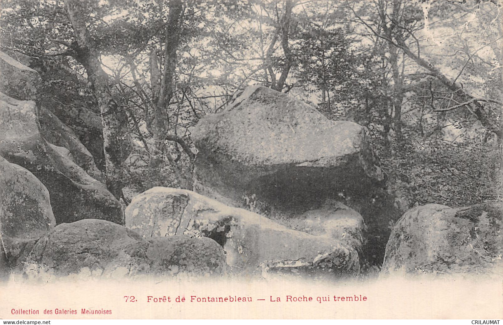 77-FONTAINEBLEAU LA FORET LA ROCHE QUI TREMBLE-N°5156-F/0243 - Fontainebleau