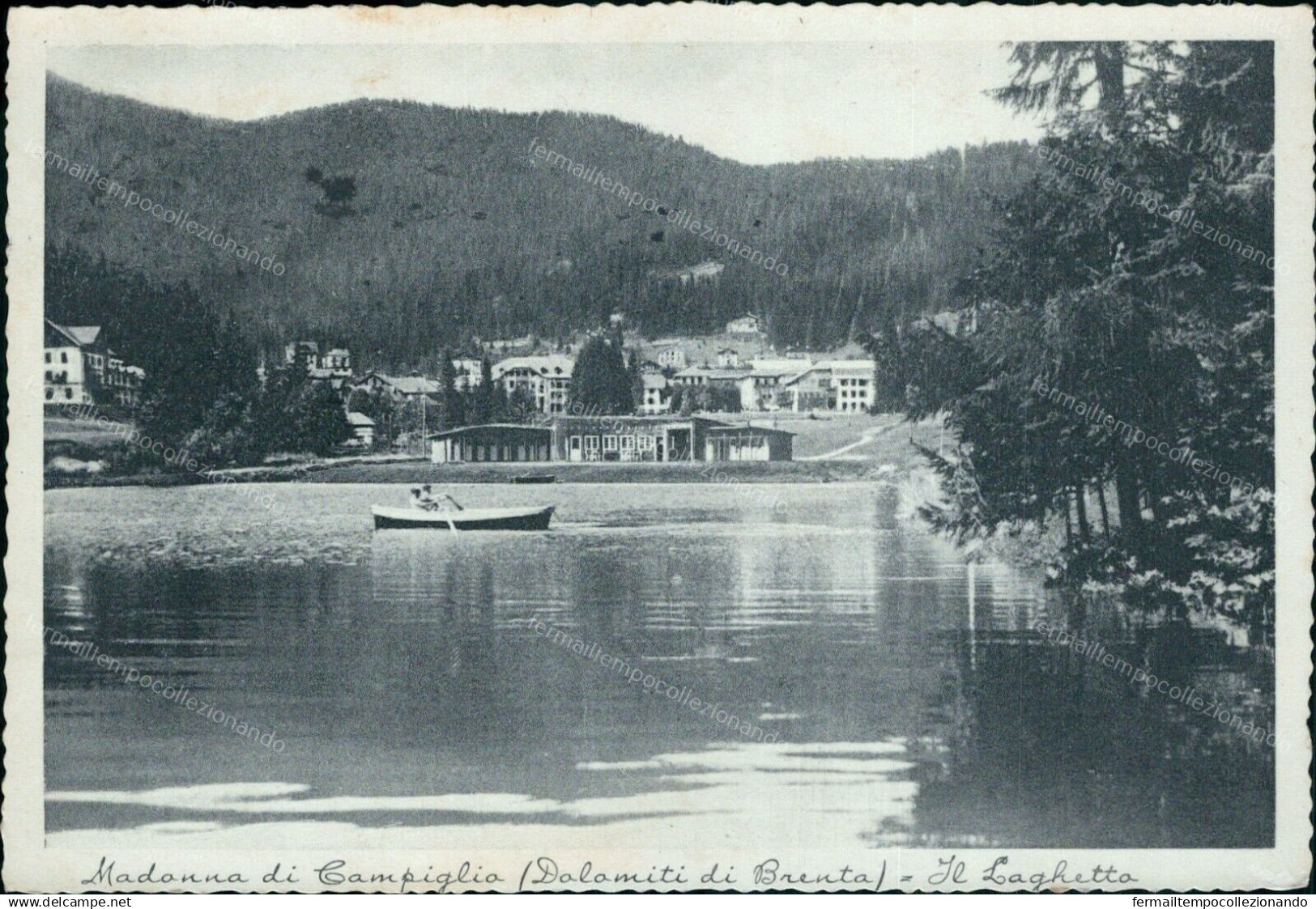 Cr337 Cartolina Madonna Di Campiglio Dolomiti Di Brenta Il Laghetto Trento - Trento