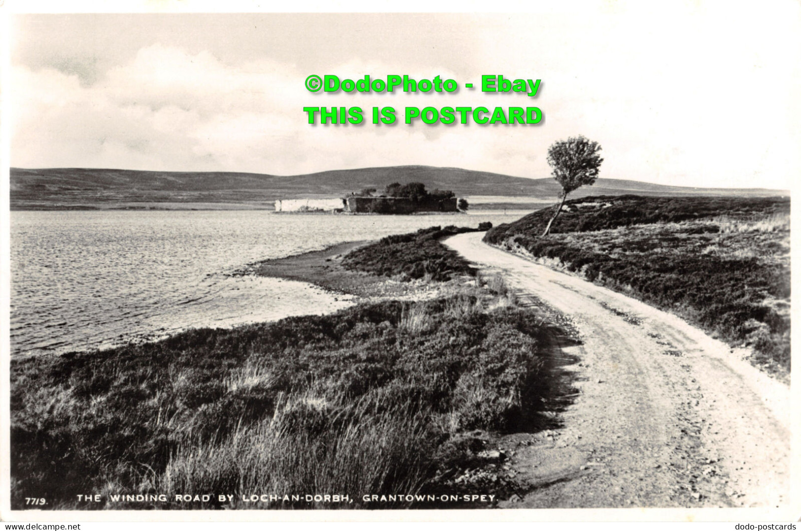 R453883 The Winding Road By Loch An Dorbh. Grantown On Spey. 7719. The Best Of A - Welt