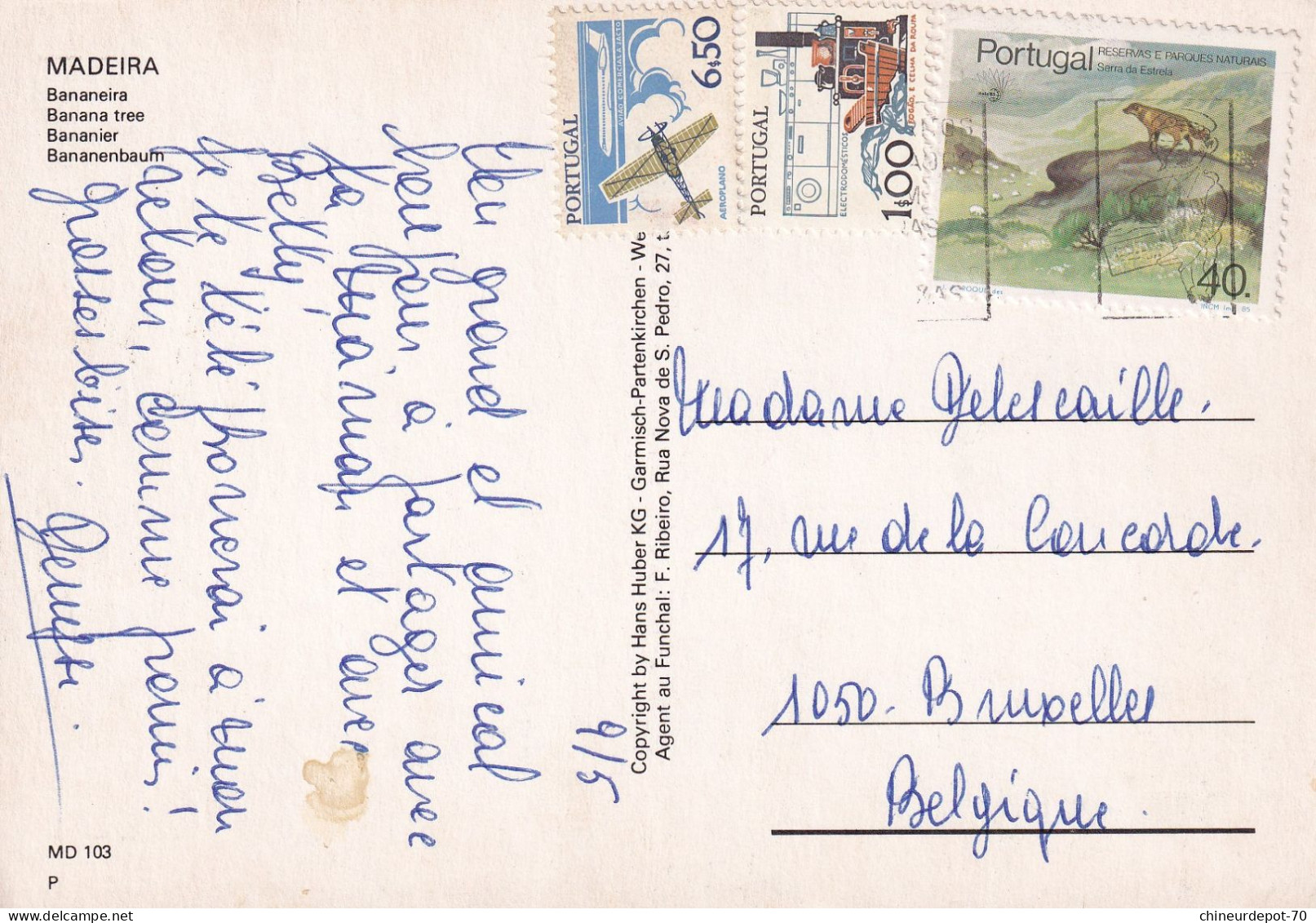 Portugal Madeira Babaneira Banana Tree Bananier Timbre Avion - Postal Stationery