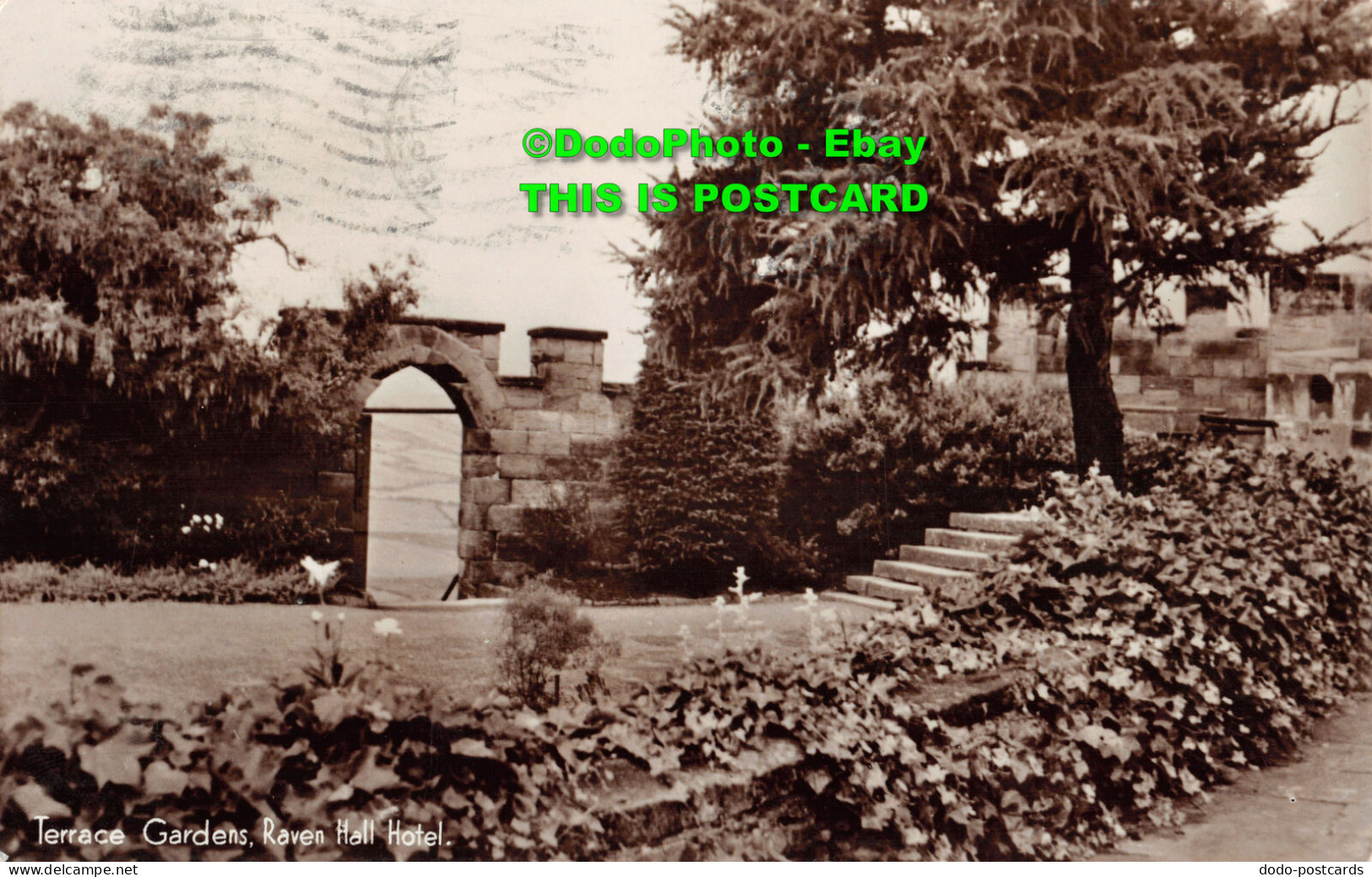 R454025 Raven Hall Hotel. Terrace Gardens. RP. 1955 - Monde