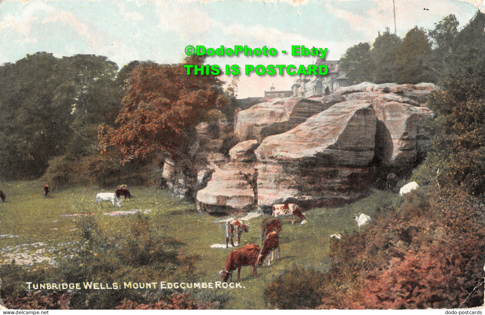 R454041 Tunbridge Wells. Mount Edgcumbe Rock. Photochrom. Photo Color Series. 23 - Monde