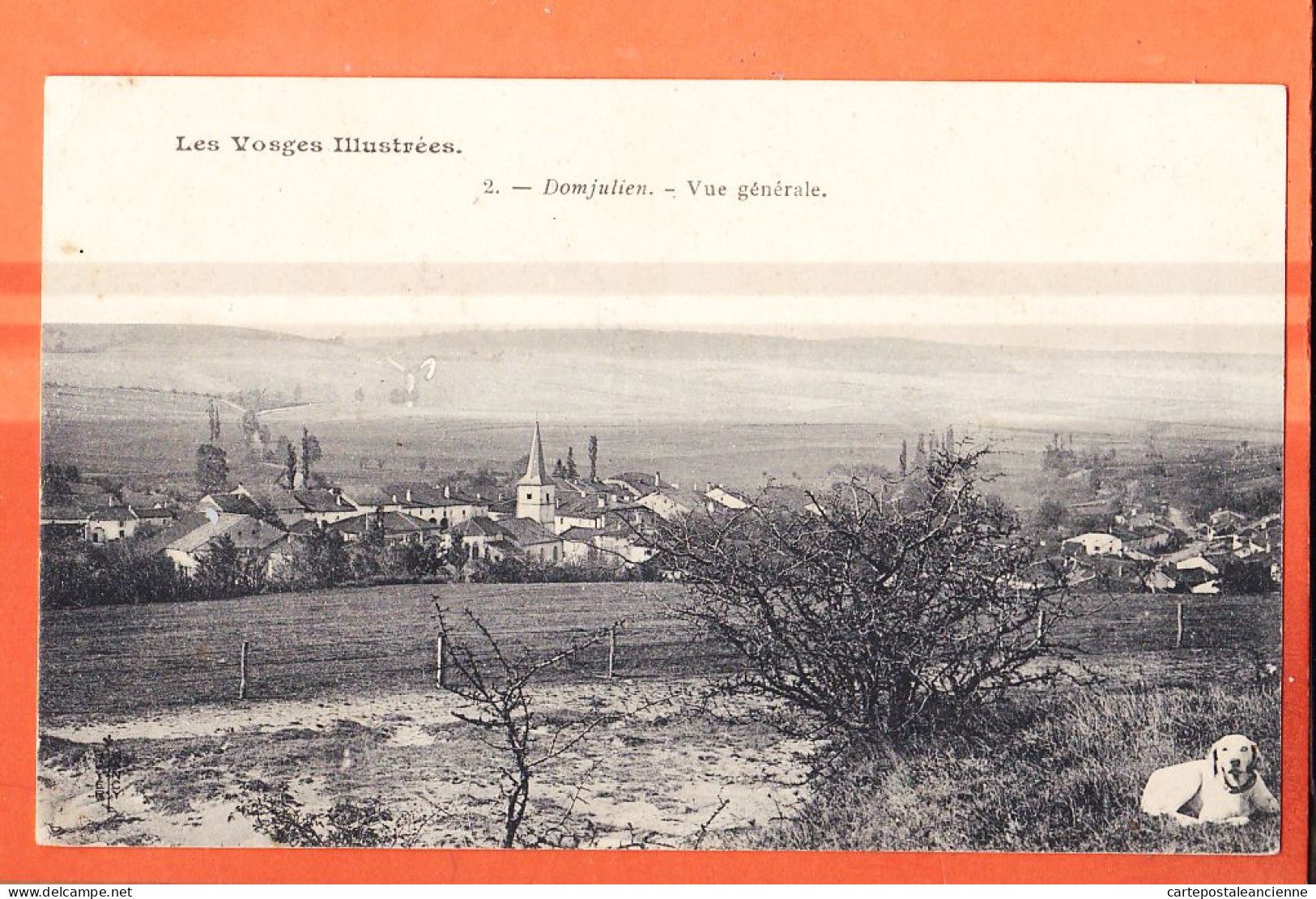 06099 / DOMJULIEN 88-Vosges Vue Generale 1907 à SALMON Garde ROCOURT Par Lamarche Edition ROYER 2 - Other & Unclassified