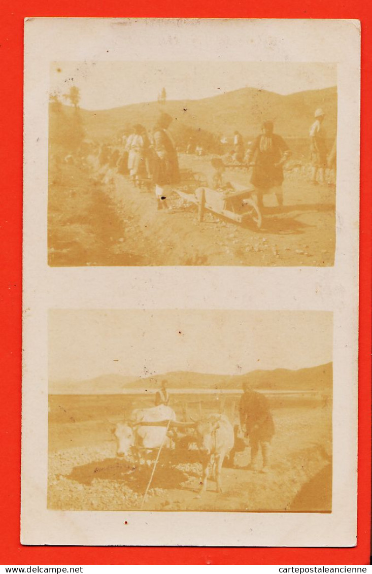 06468 / Carte-Photo Possible MACEDOINE Ou GRECE Construction Route Par Femmes Et Attelage Boeufs Bi-vues 1915s  - Macédoine Du Nord