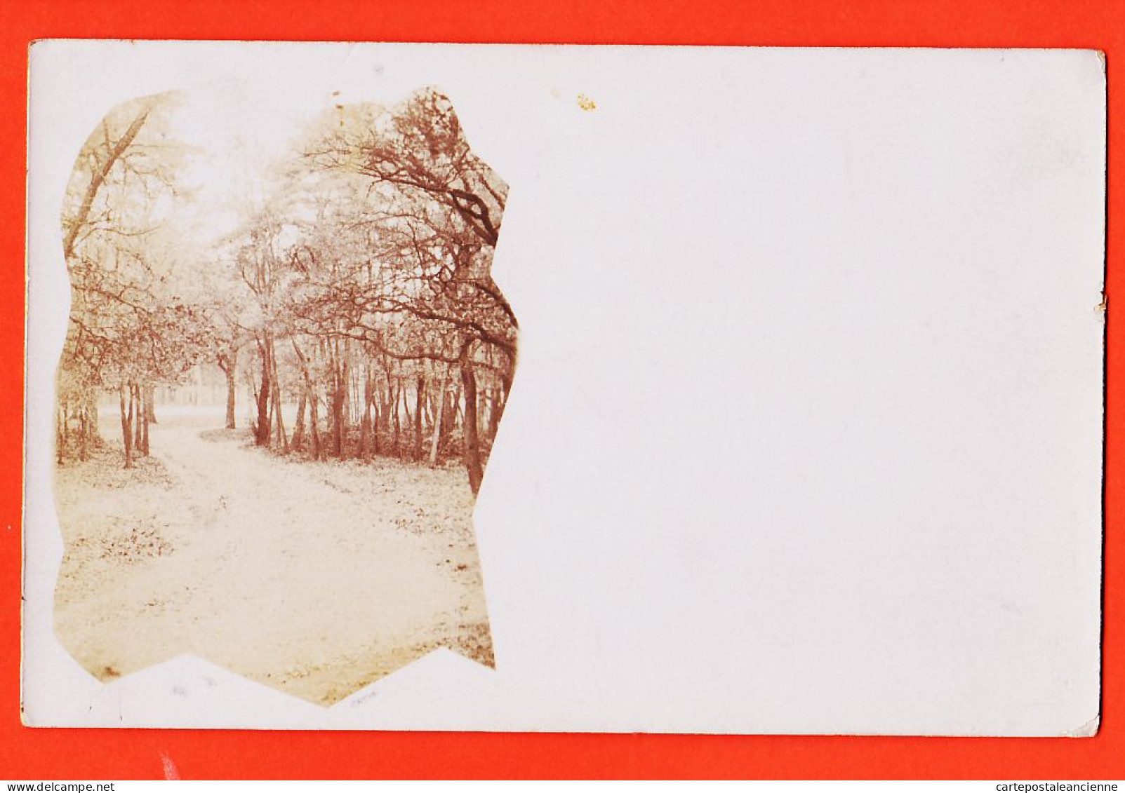 06049 / ♥️ ⭐ ◉ Carte-Photo 1890s BOULOGNE-BILLANCOURT (92) Bois De..  - Boulogne Billancourt