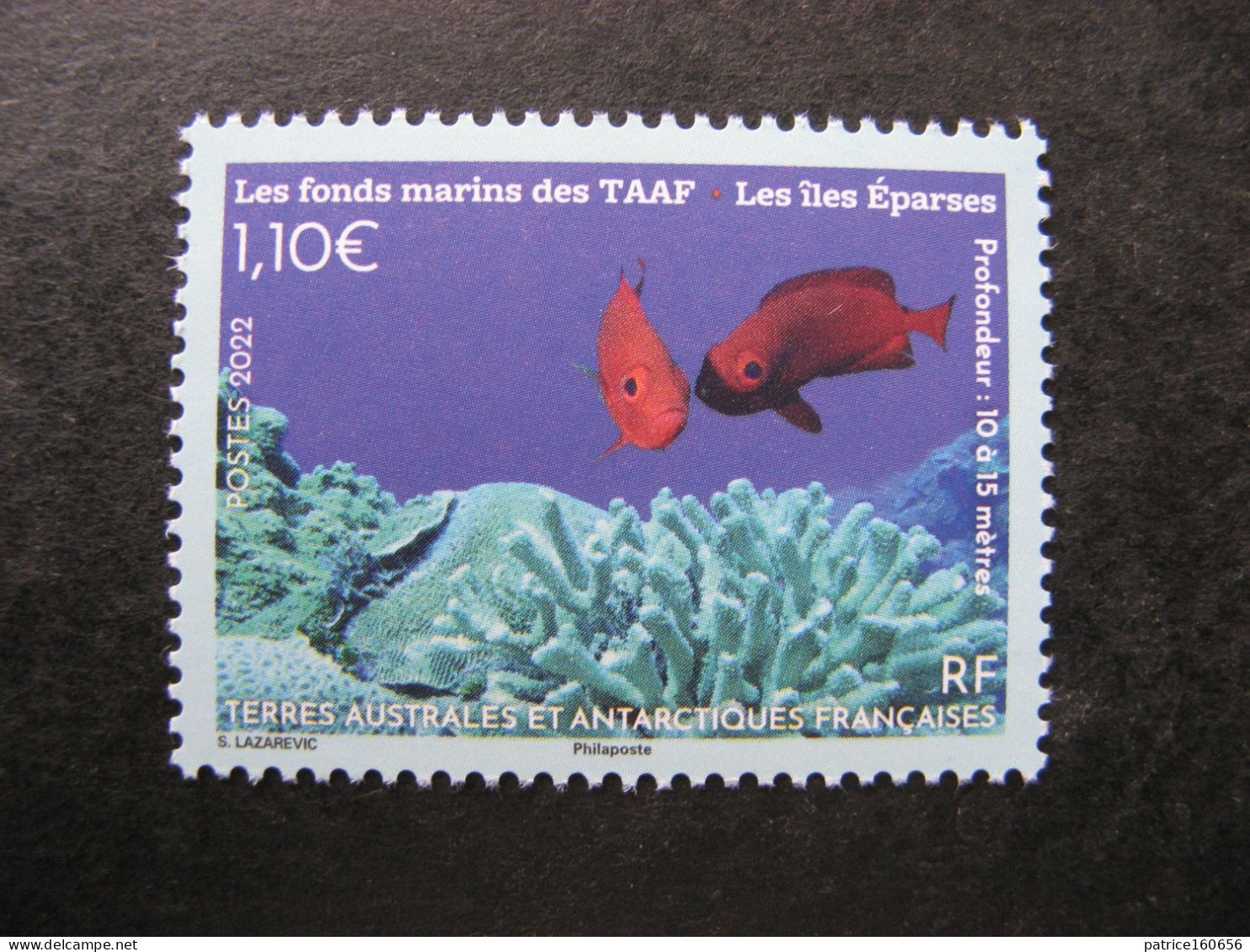 TAAF:  TB N° 1005, Neuf XX. - Unused Stamps