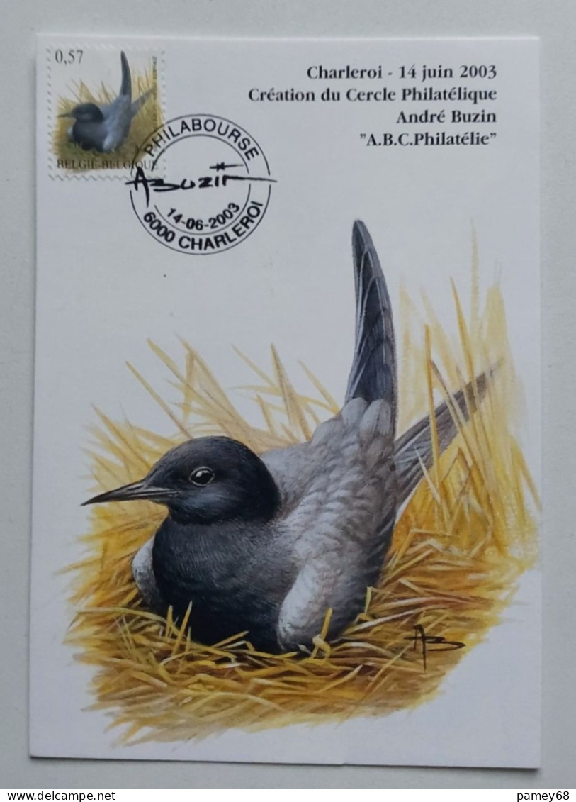 Carte Maximum Avec Impression Privé Création Du Cercle Philatélique André Buzin 14 Juin 2003 Guifette Noire - 1985-.. Oiseaux (Buzin)