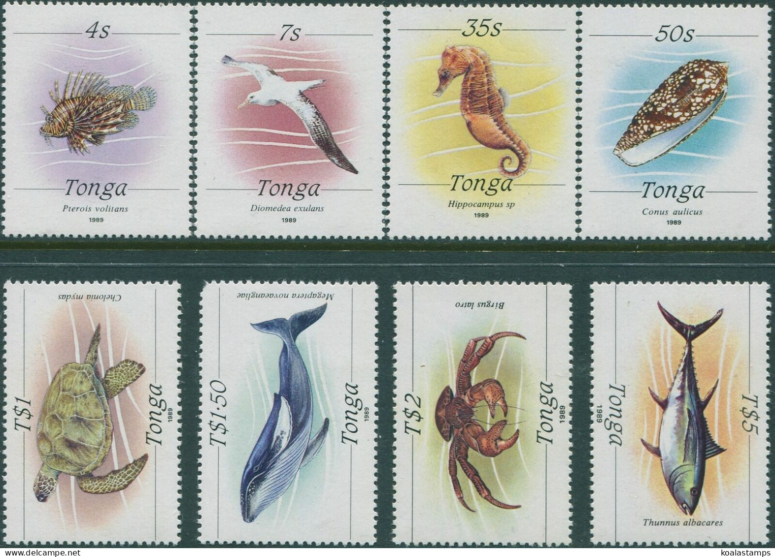 Tonga 1988 SG1001-1017 Marine Life 1989 Series MNH - Tonga (1970-...)