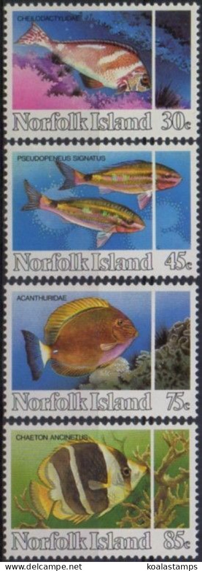 Norfolk Island 1984 SG334-337 Reef Fish Set MNH - Ile Norfolk