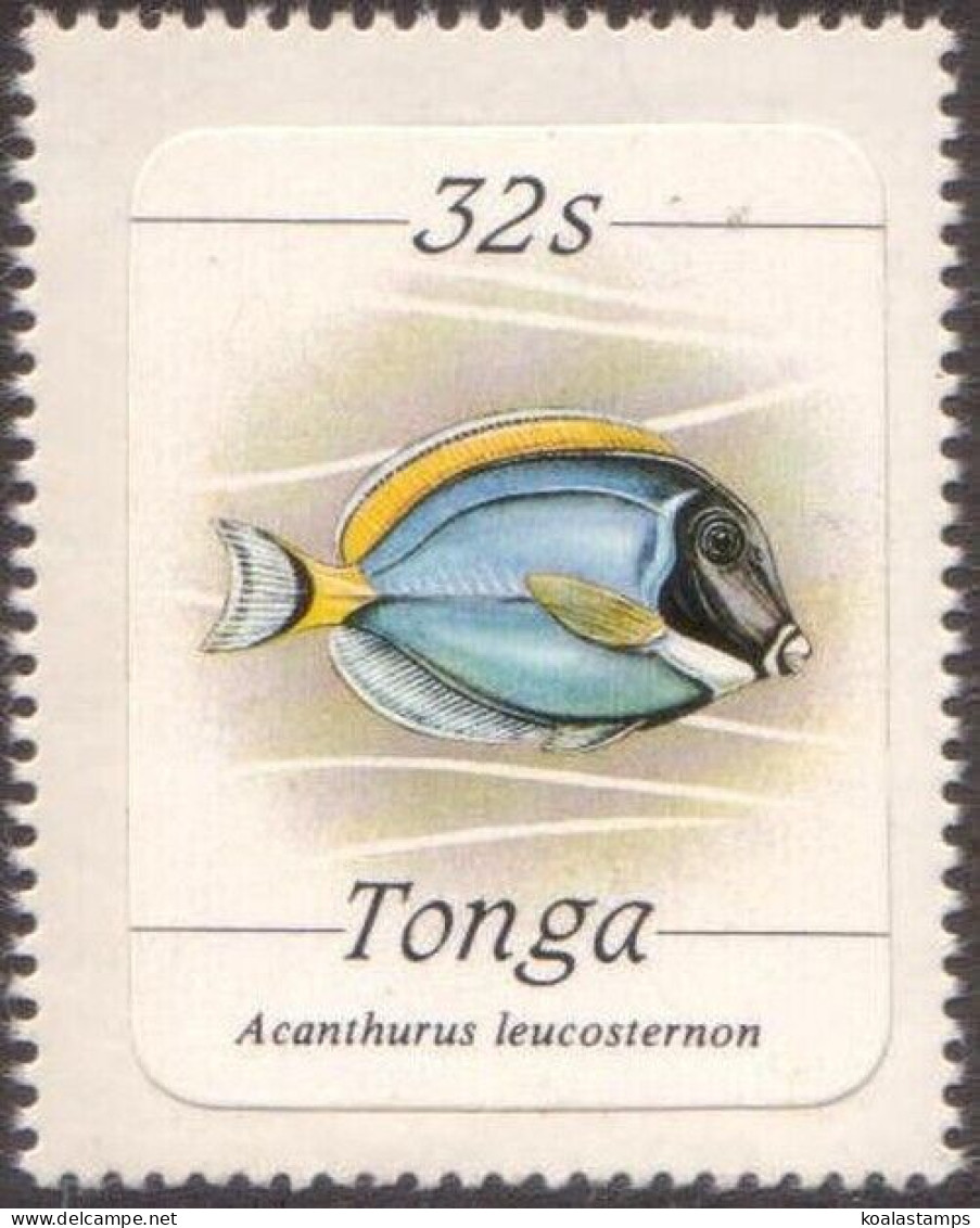 Tonga 1984 SG876 32s Powder-blue Surgeonfish MNH - Tonga (1970-...)