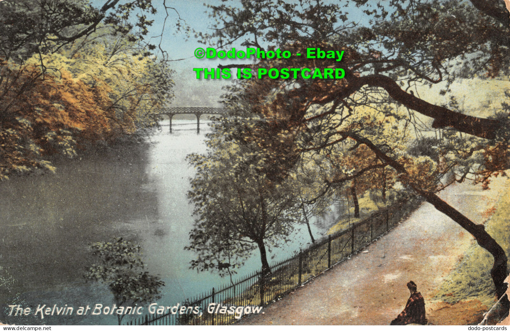 R454155 Glasgow. The Kelvin At Botanic Gardens. M. J. Caledonia Series. 1912 - World