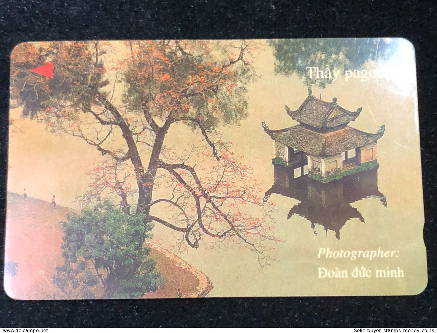 Card Phonekad Vietnam(thay Pagoda- 300 000dong-1998)-1pcs - Viêt-Nam