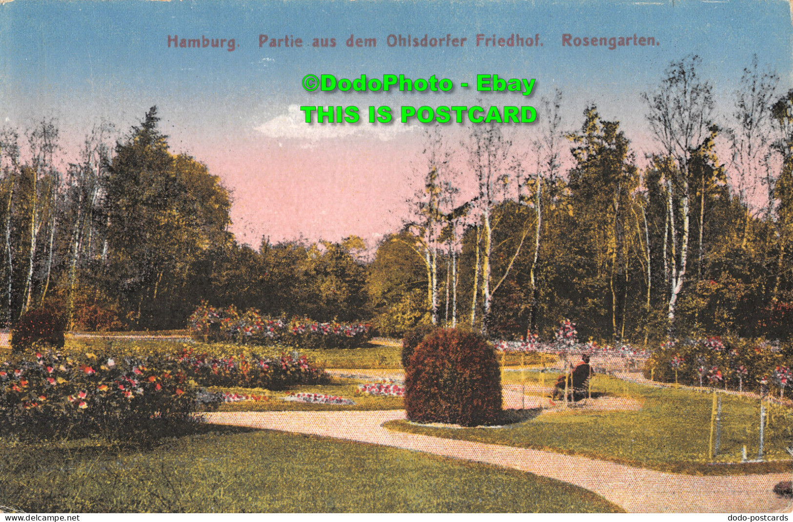 R454177 Hamburg. Partie Aus Dem Ohlsdorfer Friedhof. Rosengarten. K. W. H - World