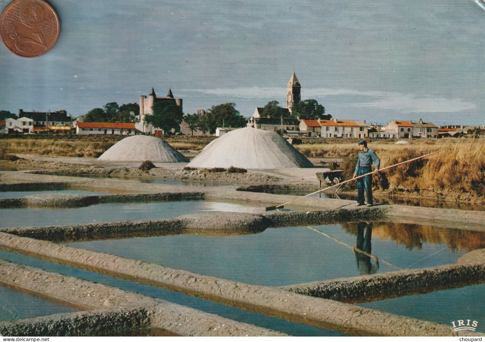 85 - Carte Postale Semi Moderne De  NOIRMOUTIER Les Marais Salants - Noirmoutier