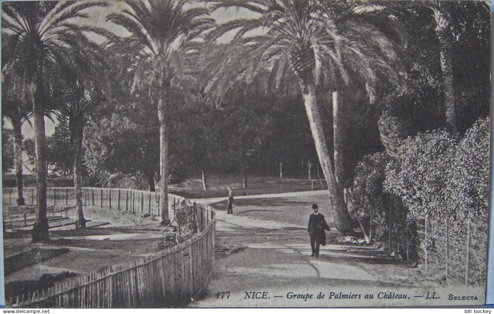 Rare NICE CPA Novembre 1914 - Groupe De Palmiers Au Château Monaco, Menton ( Éditeur L. L. Léon & Lévy ) - TBE - Menton