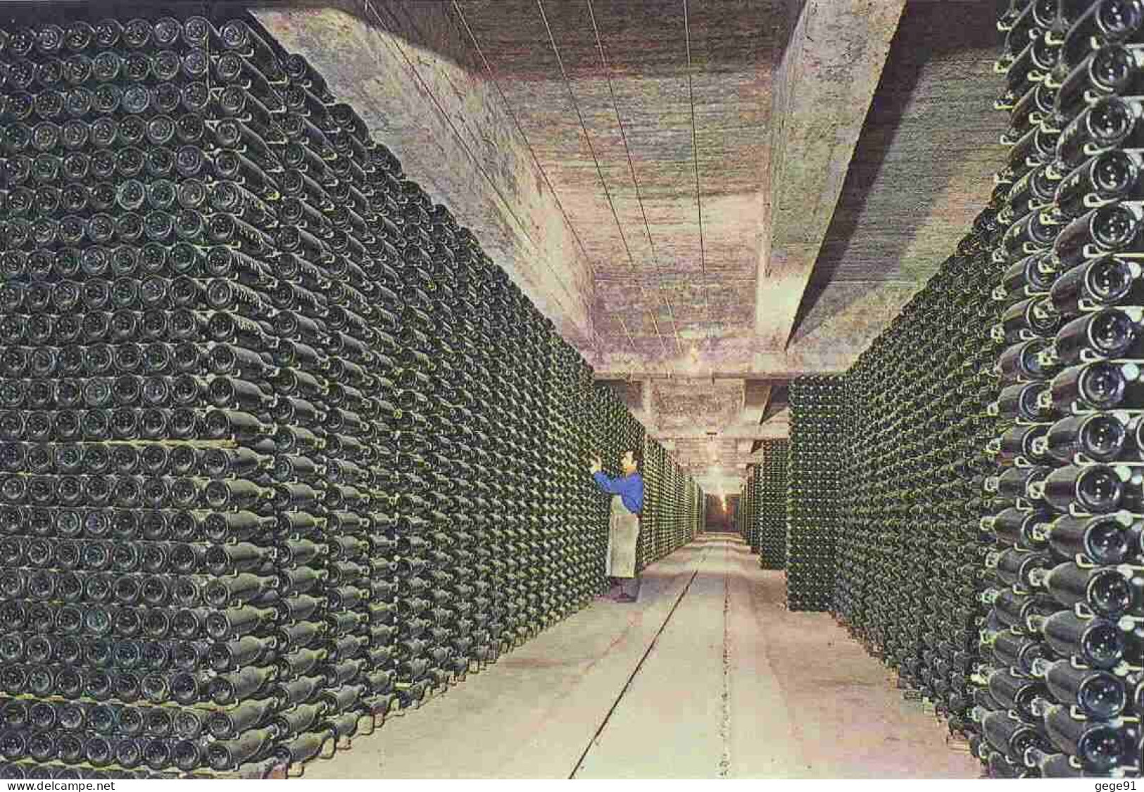 Cave De Cordoniu - Vin Mousseux - Bouteilles En Cour De Vieillissement - Weinberge