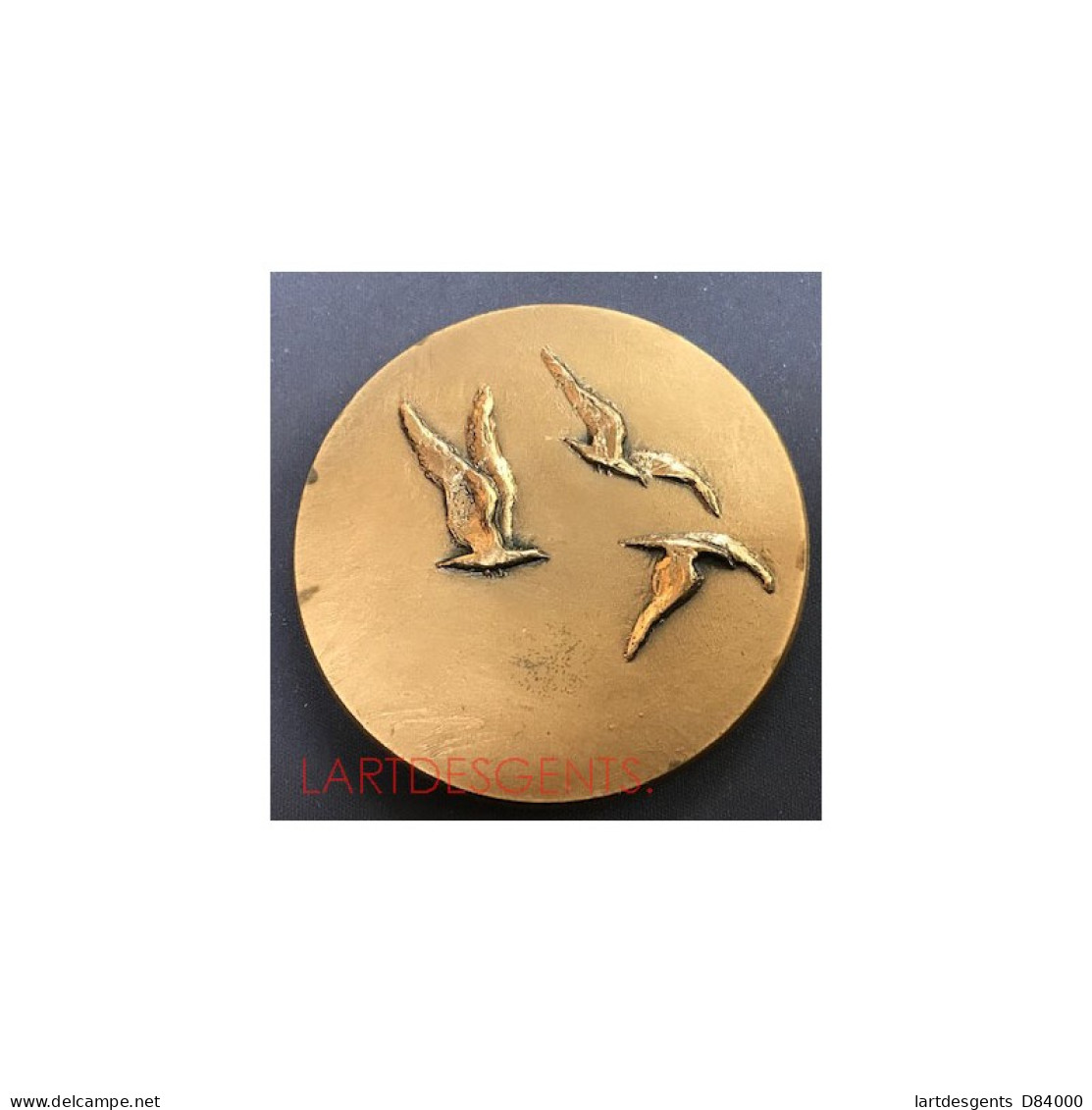 Médaille Bronze - La Voile Par Hubert YENCESSE , LARTDESGENTS.FR - Royaux / De Noblesse