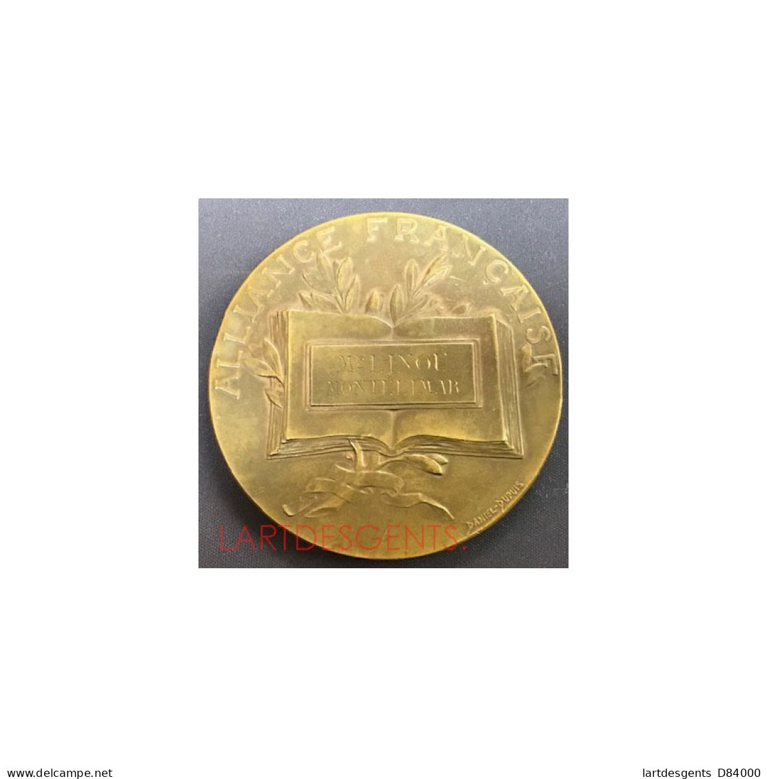 Médaille Alliance Française Colonies Par Daniel DUPUIS, LARTDESGENTS.FR - Royaux / De Noblesse