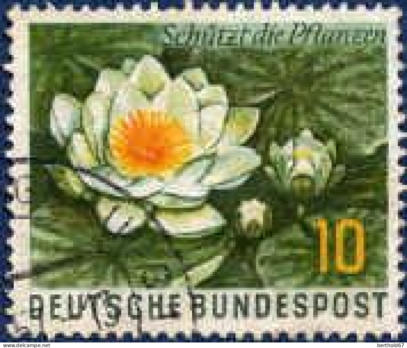 RFA Poste Obl Yv: 146 Mi:274 Schützt Die Pflanzen Nymphaea Alba (beau Cachet Rond) - Used Stamps