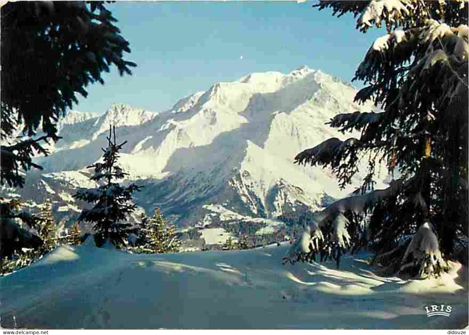 74 - Chamonix - Mont-Blanc - Le Mont-Blanc - Dome Du Gouter - Aiguille Du Midi - Vus Depuis Le Mont D'Arbois - Neige - H - Chamonix-Mont-Blanc