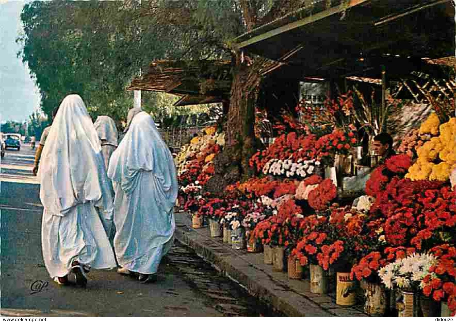 Maroc - Marché Aux Fleurs - CPM - Voir Scans Recto-Verso - Autres & Non Classés