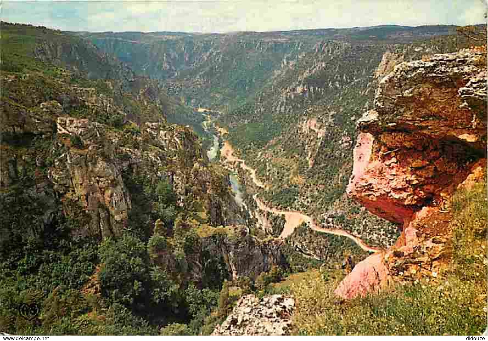 48 - Les Gorges Du Tarn - Vue Panoramique Sur Les Détroits Et La Vallée Du Tarn Vers Le Rozier Dominés Par Le Roc Des Ho - Gorges Du Tarn