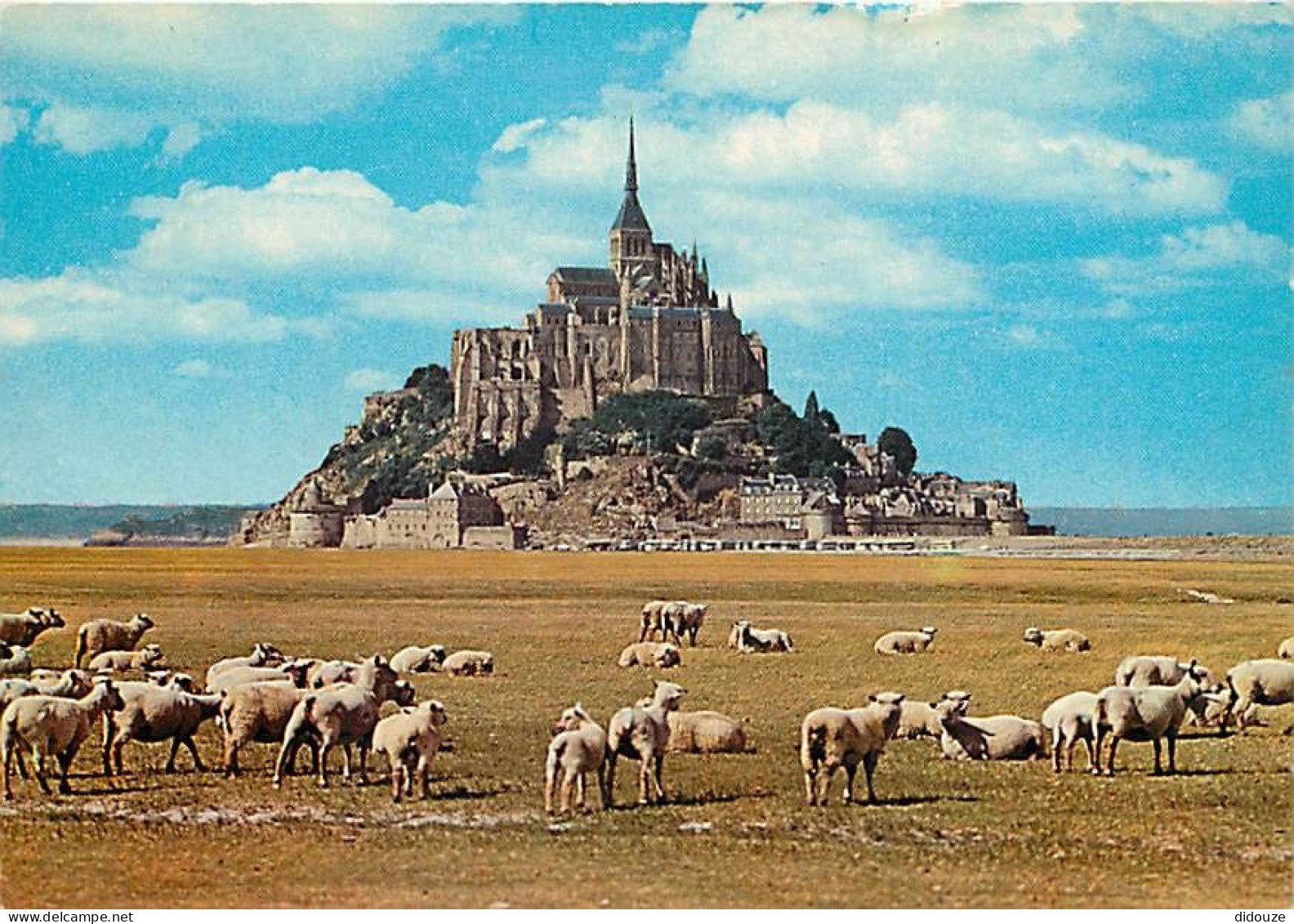 Animaux - Moutons - Le Mont Saint Michel - Les Moutons De Pré-salé - CPM - Voir Scans Recto-Verso - Other & Unclassified