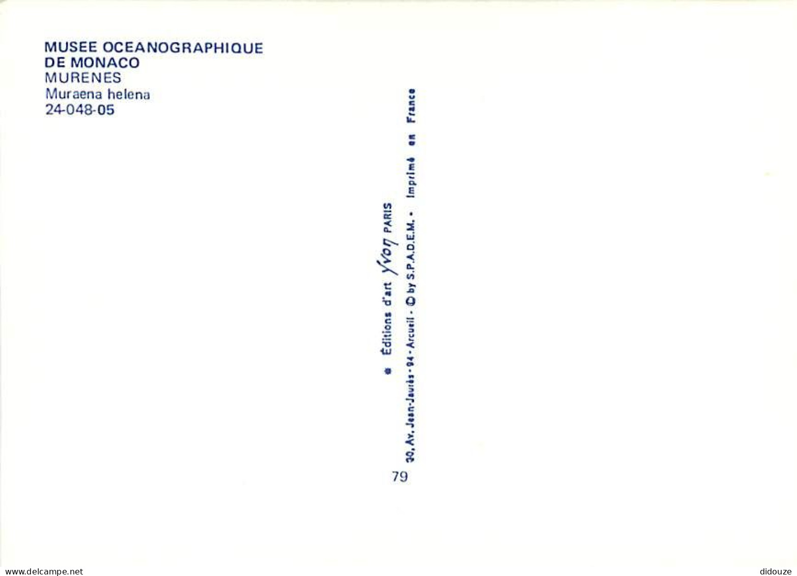 Animaux - Poissons - Musée Océanographique De Monaco - 24-048-05 - Murenes - Muraena Helena - Carte Neuve - CPM - Voir S - Fische Und Schaltiere