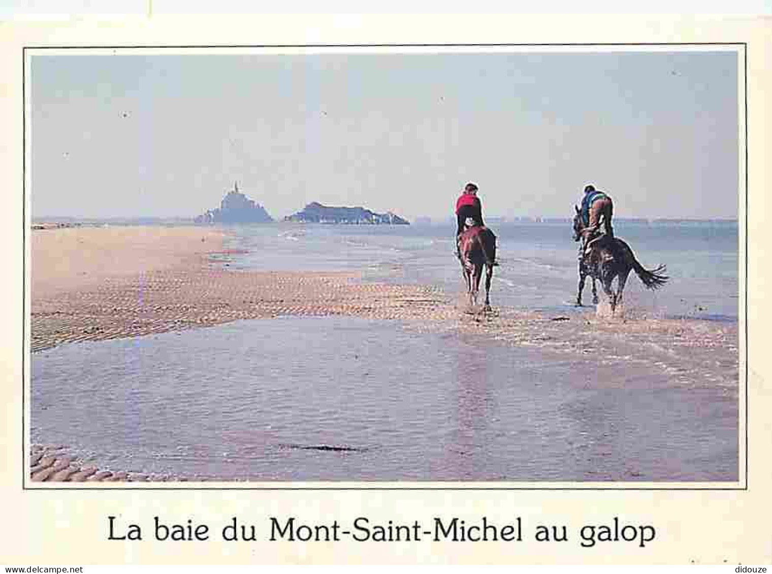 Animaux - Chevaux - Galop Matinal En Baie Du Mont Saint-Michel - Photo Dominique De Rango - CPM - Voir Scans Recto-Verso - Horses