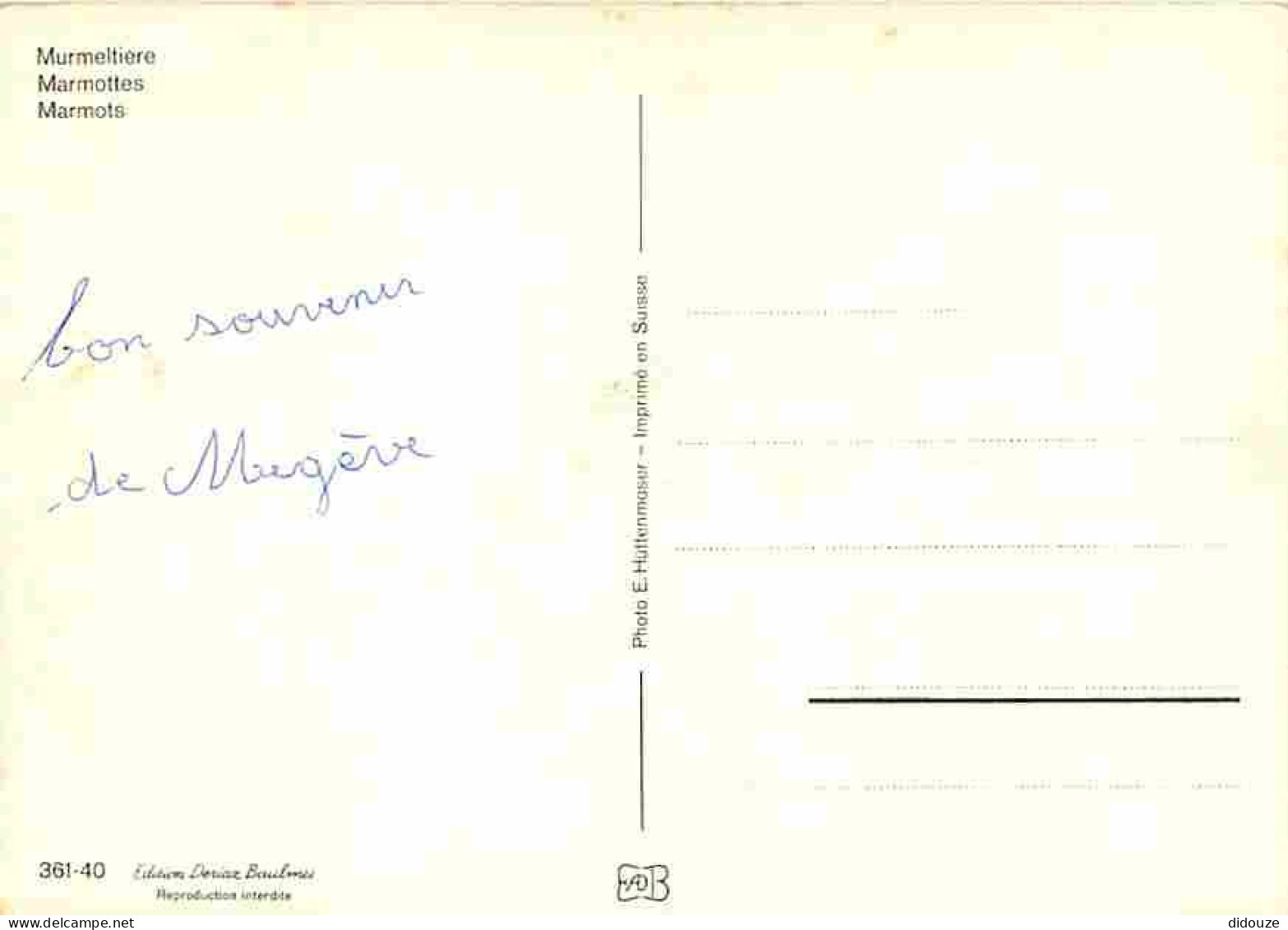 Animaux - Marmottes - CPM - Voir Scans Recto-Verso - Sonstige & Ohne Zuordnung