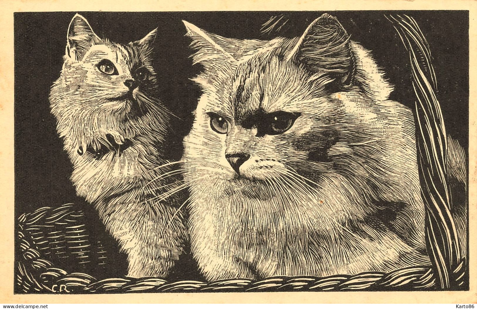 Chat * CPA Illustrateur * Race ? * Thème Chats Cat Cats Katze - Gatos