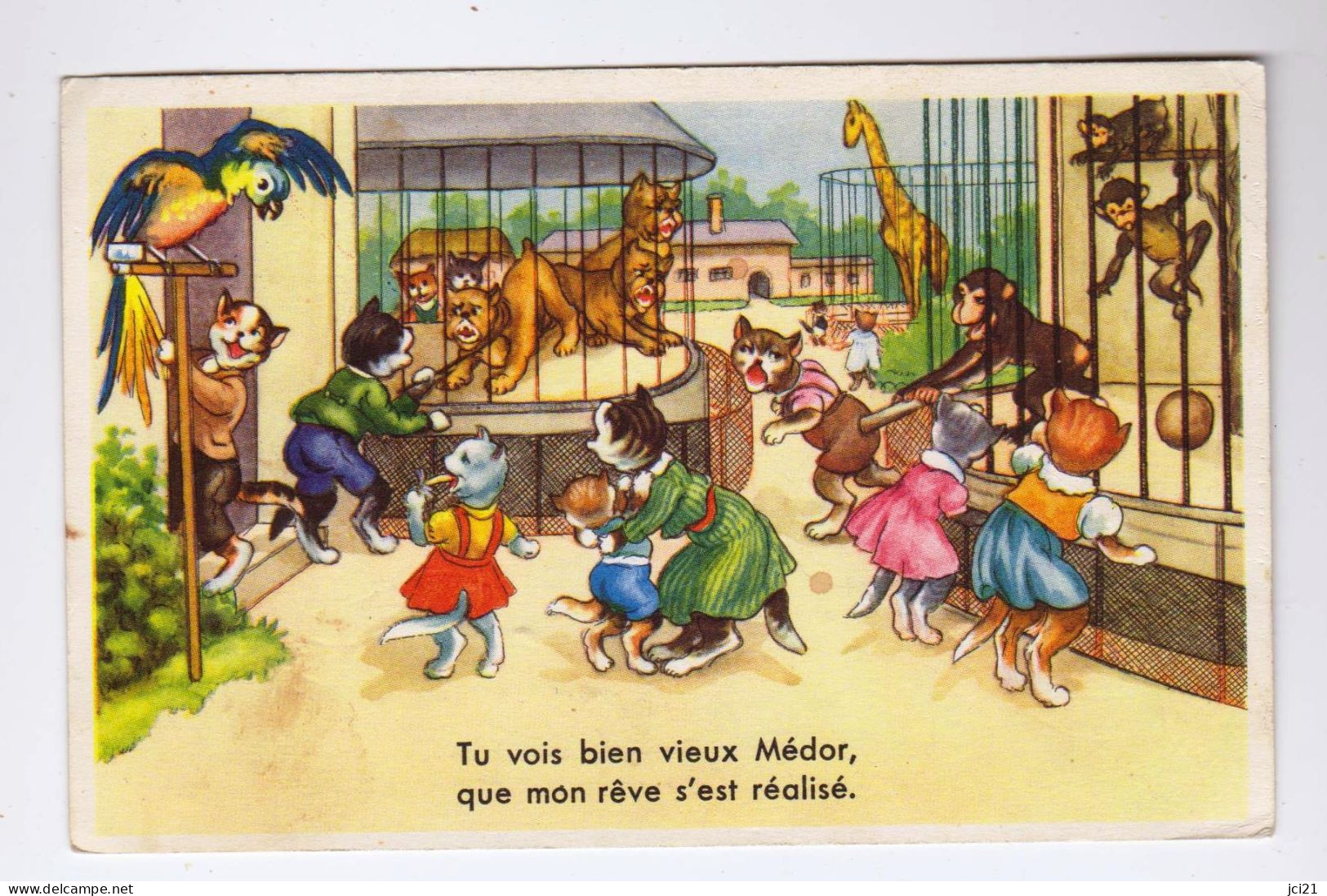 CARTE HUMORISTIQUE Chats Zoo " Tu Vois Bien Vieux Médor.." (1669)_CP670 - Gatos