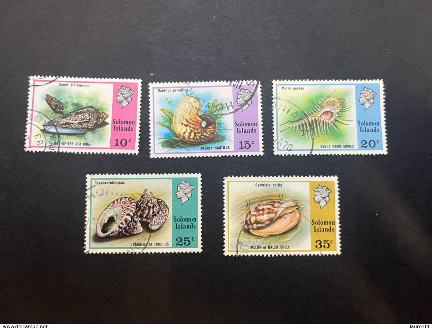 16-5-2024 (stamp) Solomon Islands - 5 Used Shell / Coquillages - Islas Salomón (1978-...)