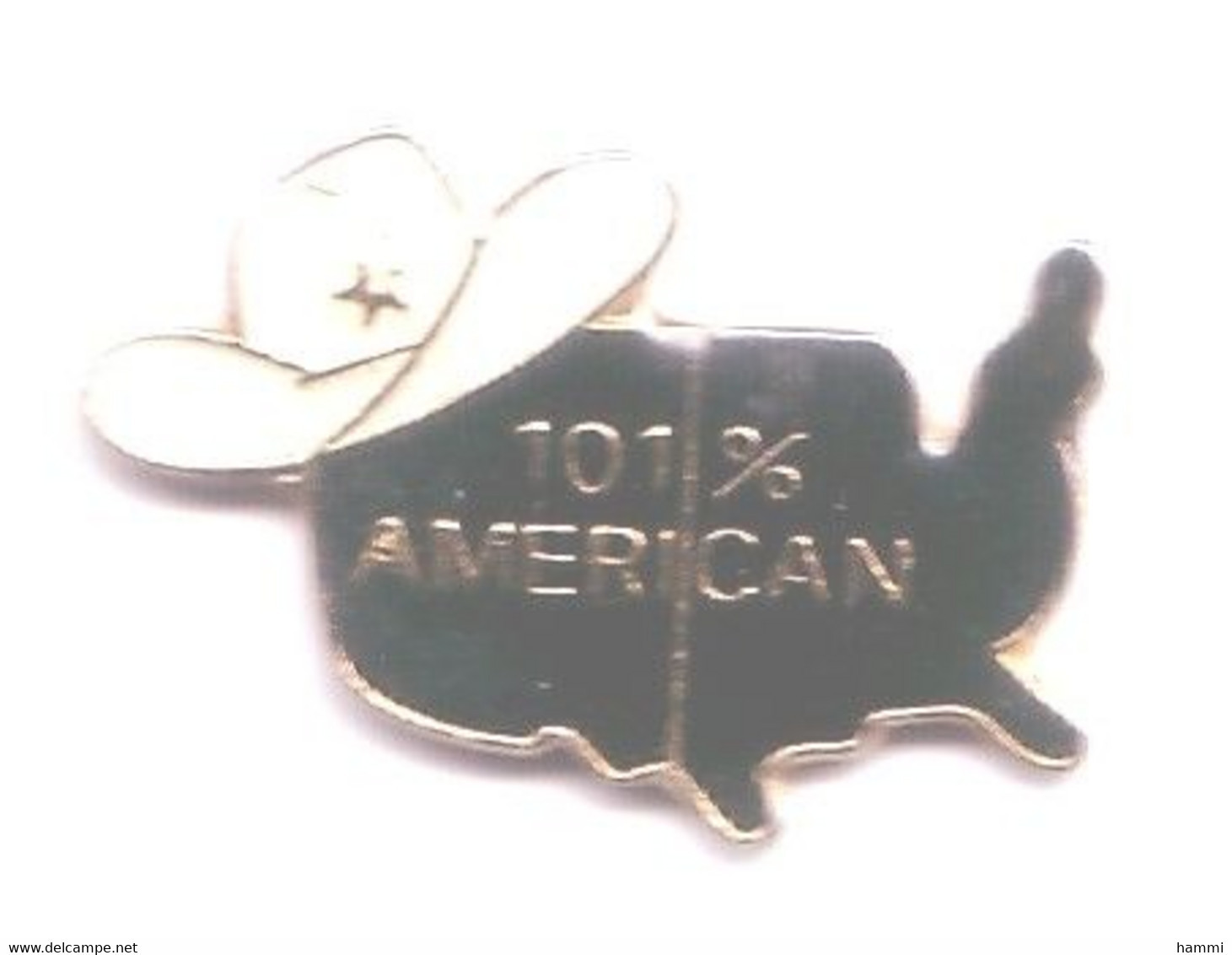 FF413 Pin's  USA TEXAS 101 % American Chapeau Cow Boy Achat Immédiat - Cities