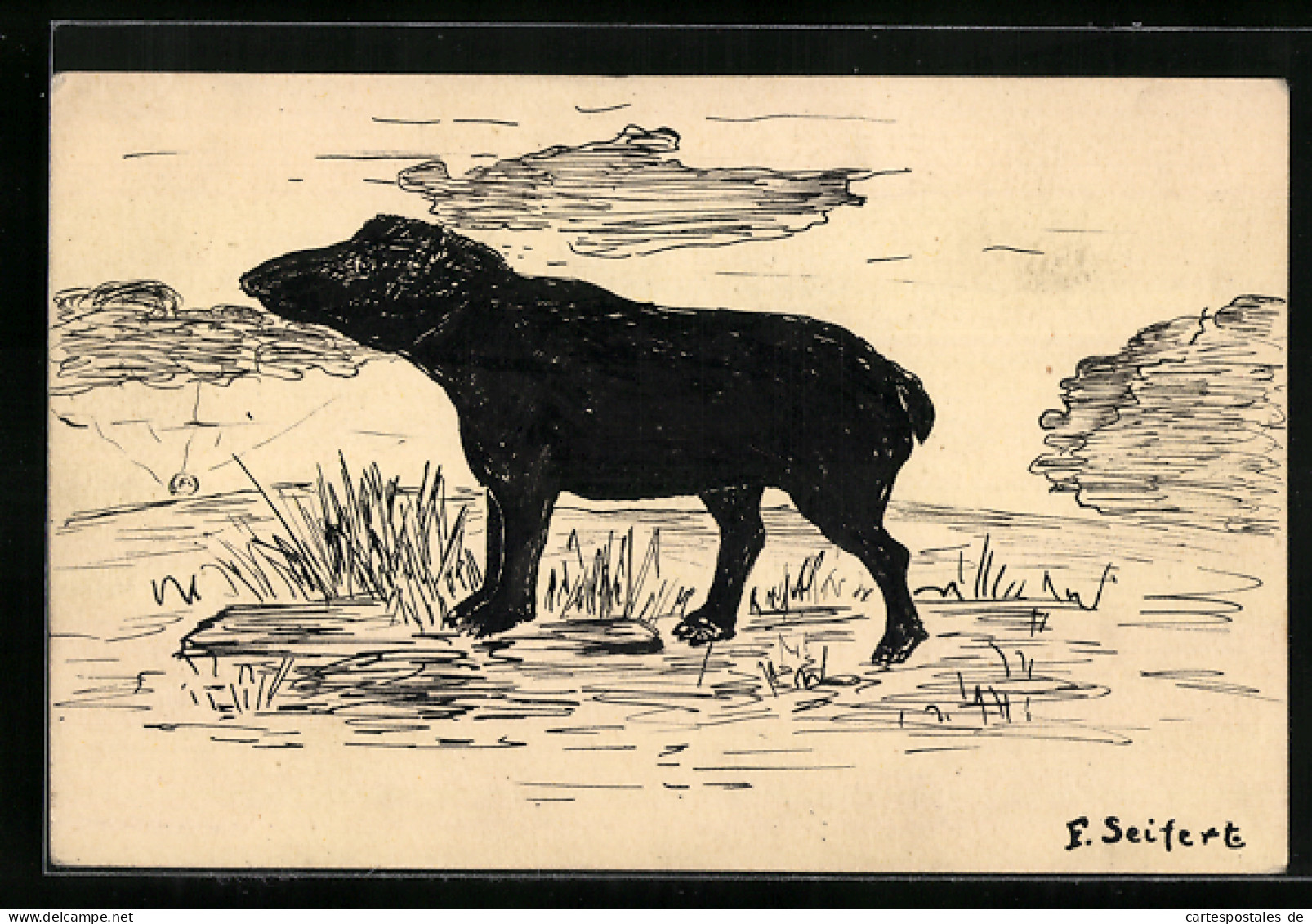 Künstler-AK Handgemalt: Schwarzer Hund Bei Sonnenschein  - 1900-1949