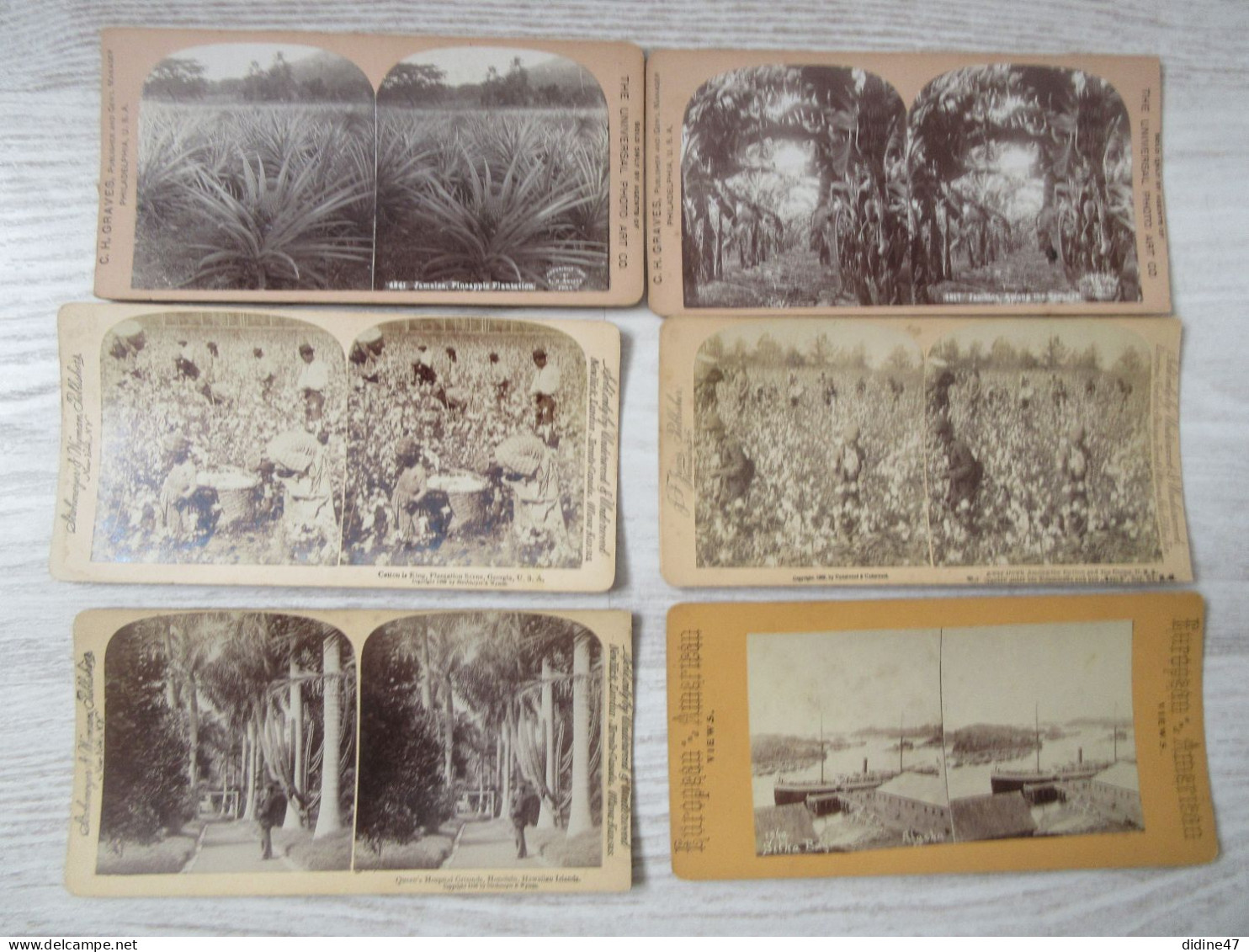 PHOTO STEREOSCOPIQUE -HONOLULU- ETATS UNIS - JAMAÏQUE - Lot De 6 Vues Sur Carton épais - Stereoscopic