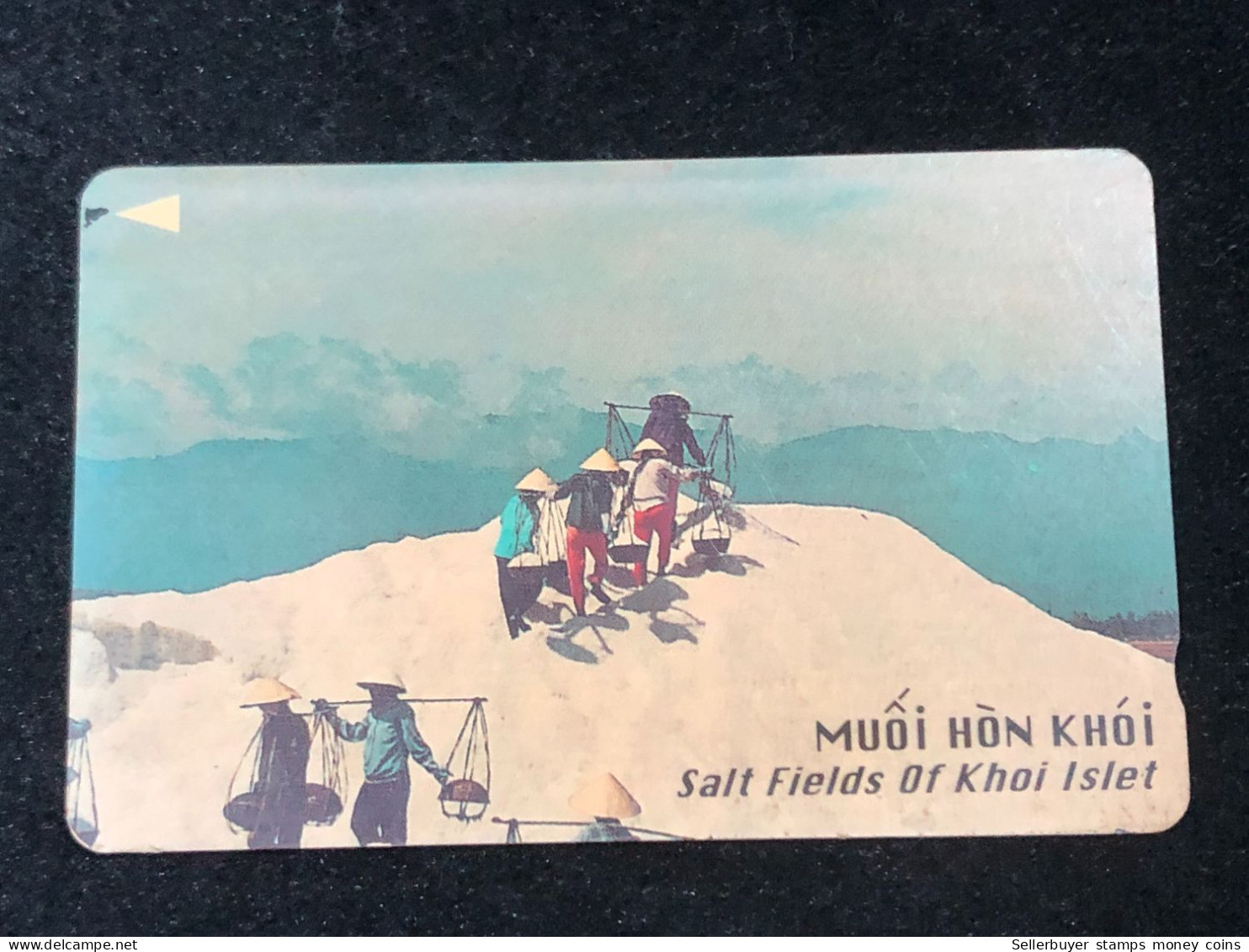 Card Phonekad Vietnam(setl Fieids- 60 000dong-1995)-1pcs - Viêt-Nam