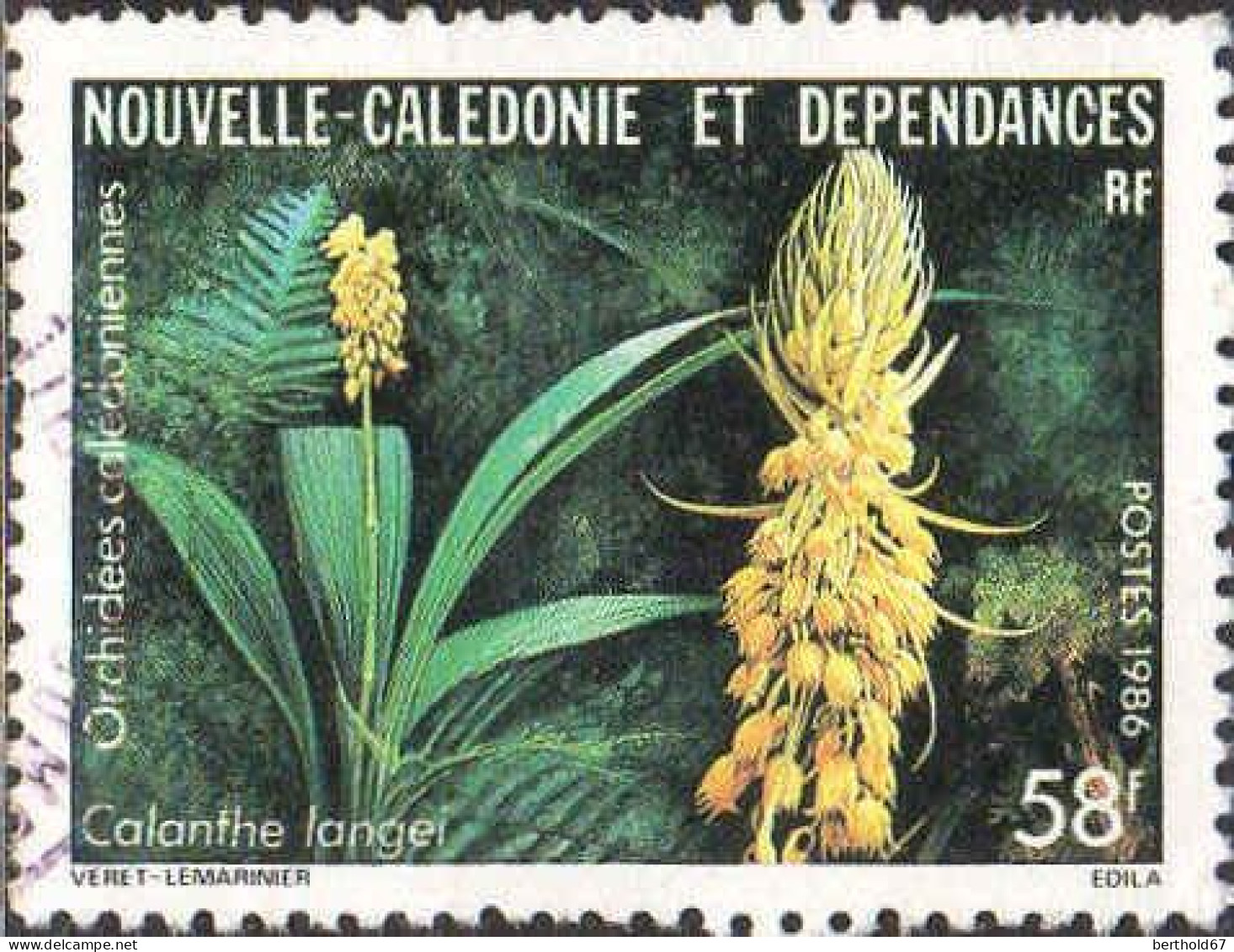 Nle-Calédonie Poste Obl Yv: 521 Orchidées Calédoniennes Calanthe Langei (Dents Courtes) - Used Stamps