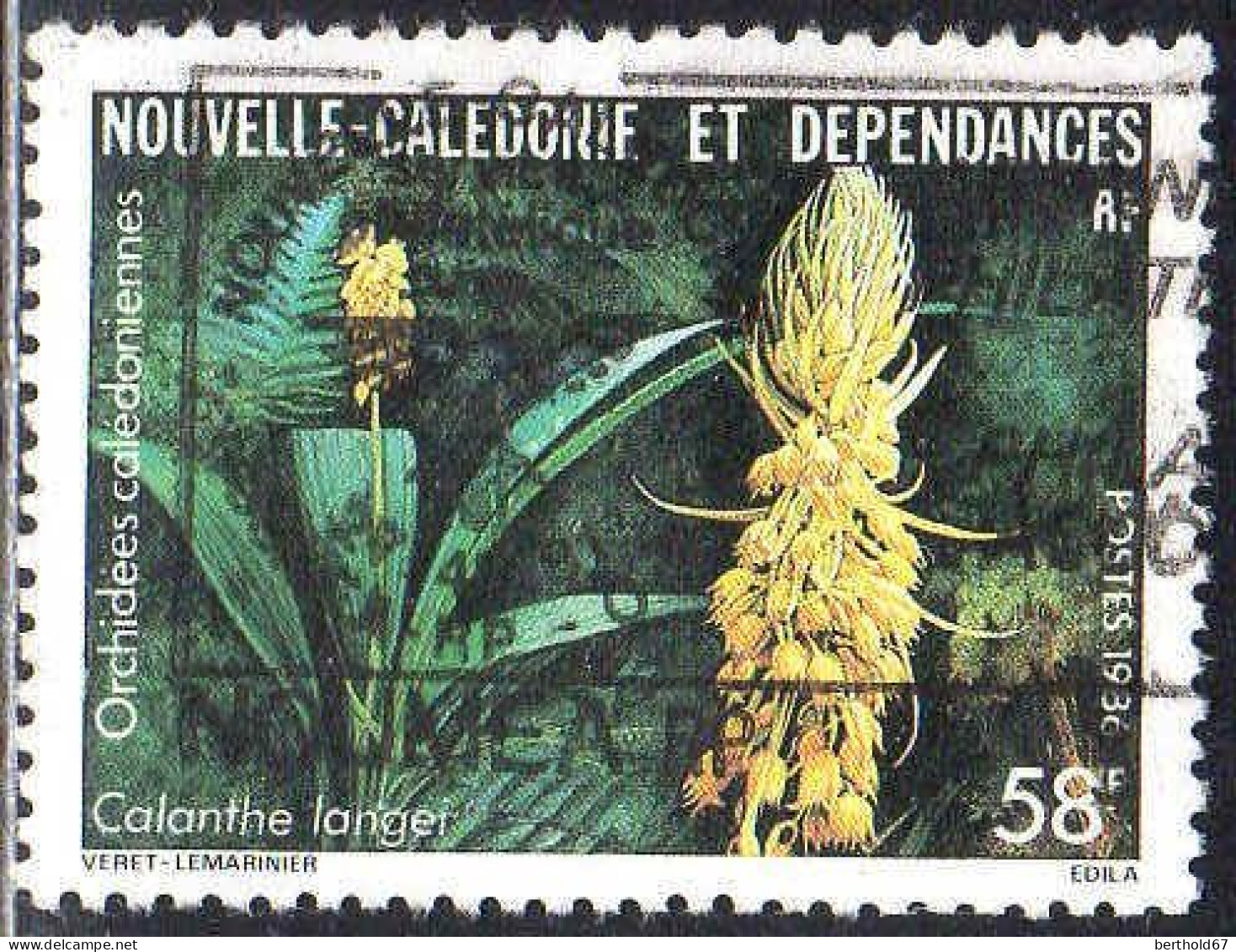 Nle-Calédonie Poste Obl Yv: 521 Mi:785 Orchidées Calédoniennes Calanthe Langei (Belle Obl.mécanique) - Oblitérés