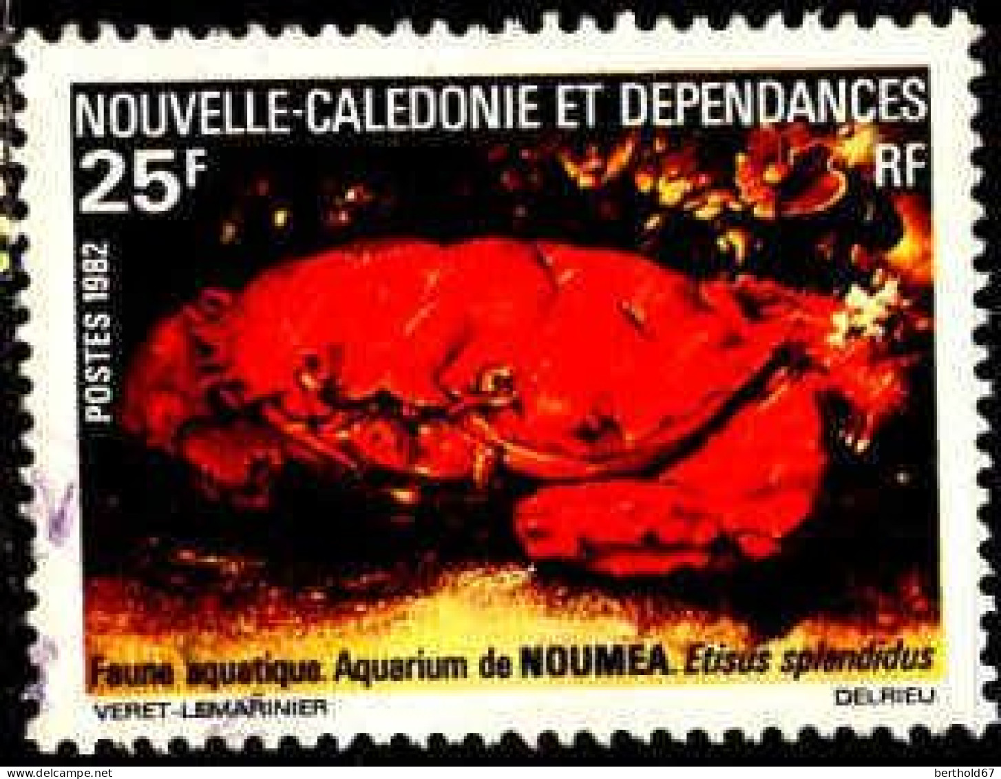 Nle-Calédonie Poste Obl Yv: 454 Mi:682 Etisus Splenditus (Beau Cachet Rond) - Used Stamps