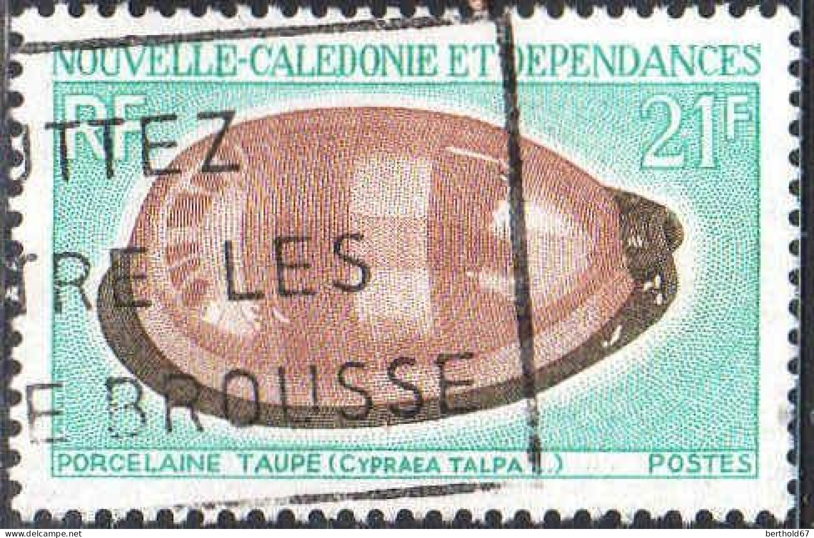 Nle-Calédonie Poste Obl Yv: 371 Mi:487 Porcelaine Taupe Cypraea Talpa L (Belle Obl.mécanique) - Used Stamps