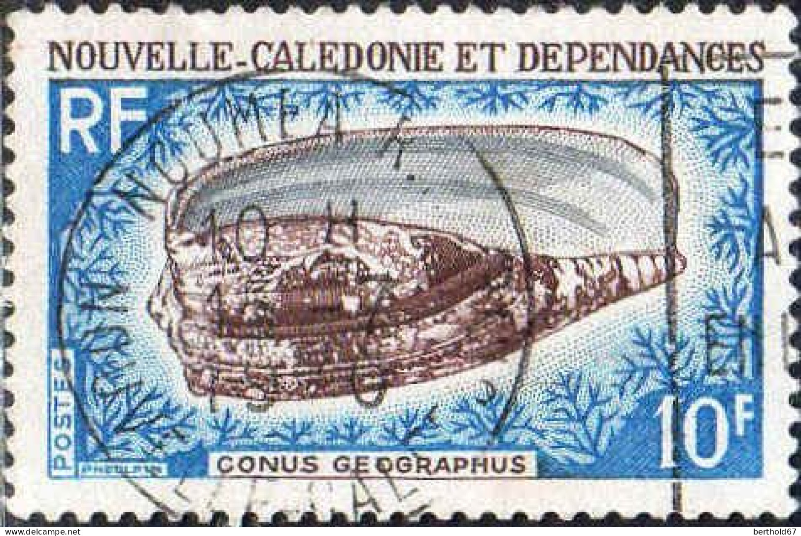 Nle-Calédonie Poste Obl Yv: 354 Mi:458 Conus Geographus Noumea 15-7-1970 (TB Cachet à Date) - Used Stamps