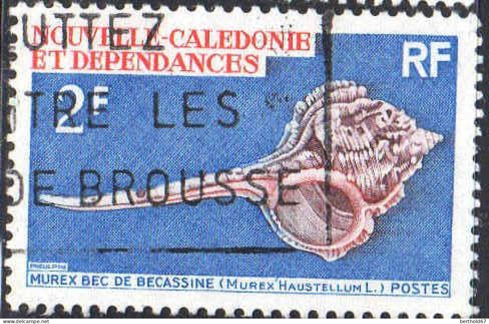 Nle-Calédonie Poste Obl Yv: 358 Mi:469 Murex Bec De Bécassine Murex Haustellum L (Belle Obl.mécanique) - Used Stamps