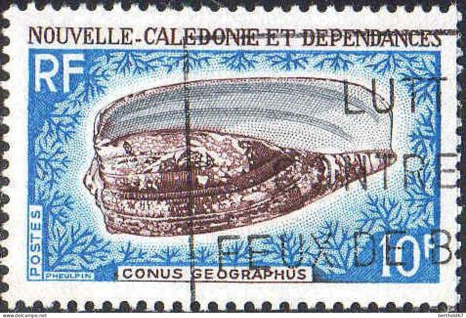 Nle-Calédonie Poste Obl Yv: 354 Mi:458 Conus Geographus (Belle Obl.mécanique) - Usados