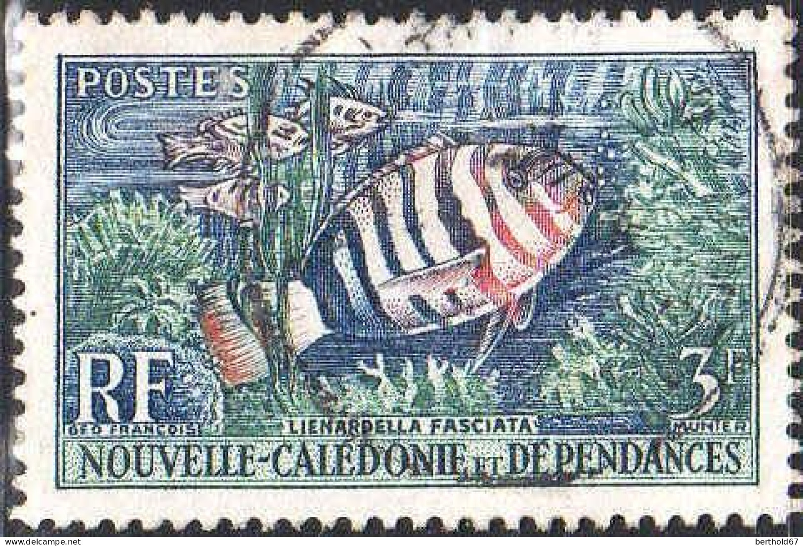 Nle-Calédonie Poste Obl Yv: 292 Mi:365 Lienardella Fasciata (cachet Rond) - Used Stamps