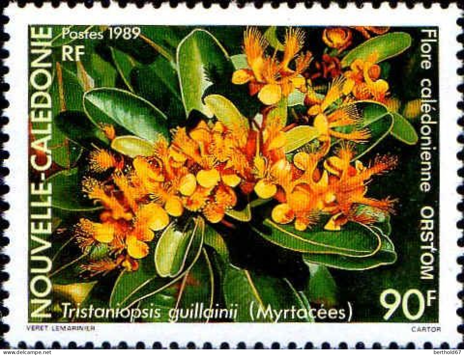 Nle-Calédonie Poste N** Yv: 574/575 Flore Calédonienne - Unused Stamps