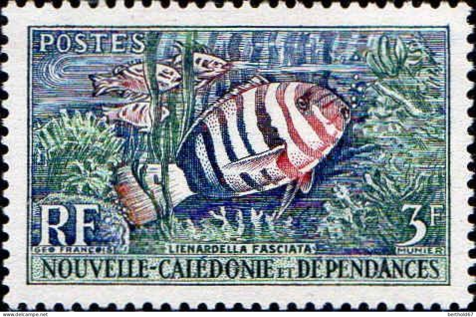 Nle-Calédonie Poste N** Yv: 291/294 Coraux & Poissons - Unused Stamps