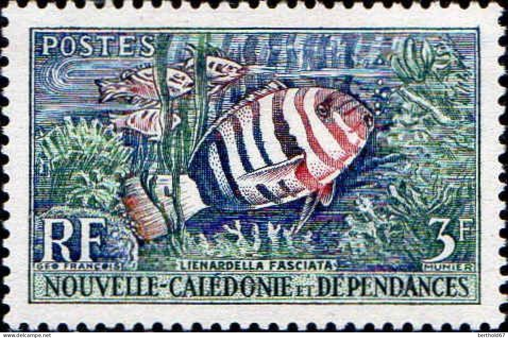 Nle-Calédonie Poste N** Yv: 291/294 Coraux & Poissons - Ungebraucht