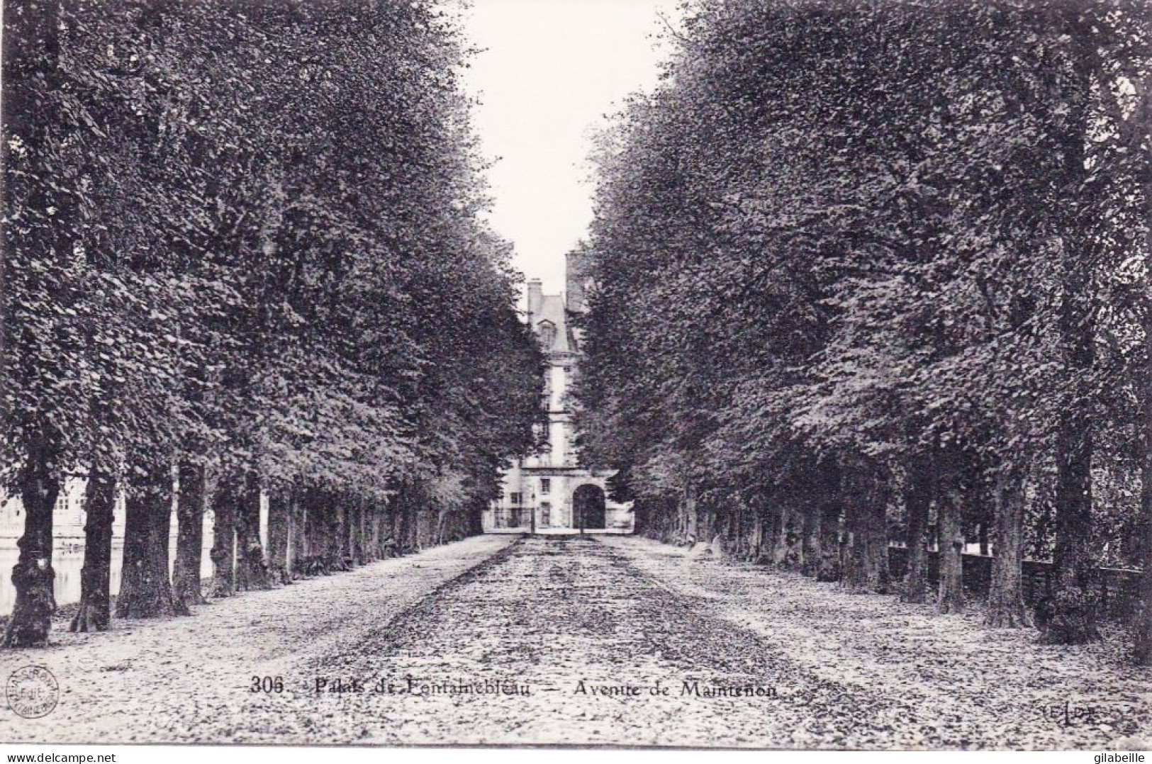 77 - Seine Et Marne -  FONTAINEBLEAU -  Le Palais - Avenue De Maintenon - Fontainebleau