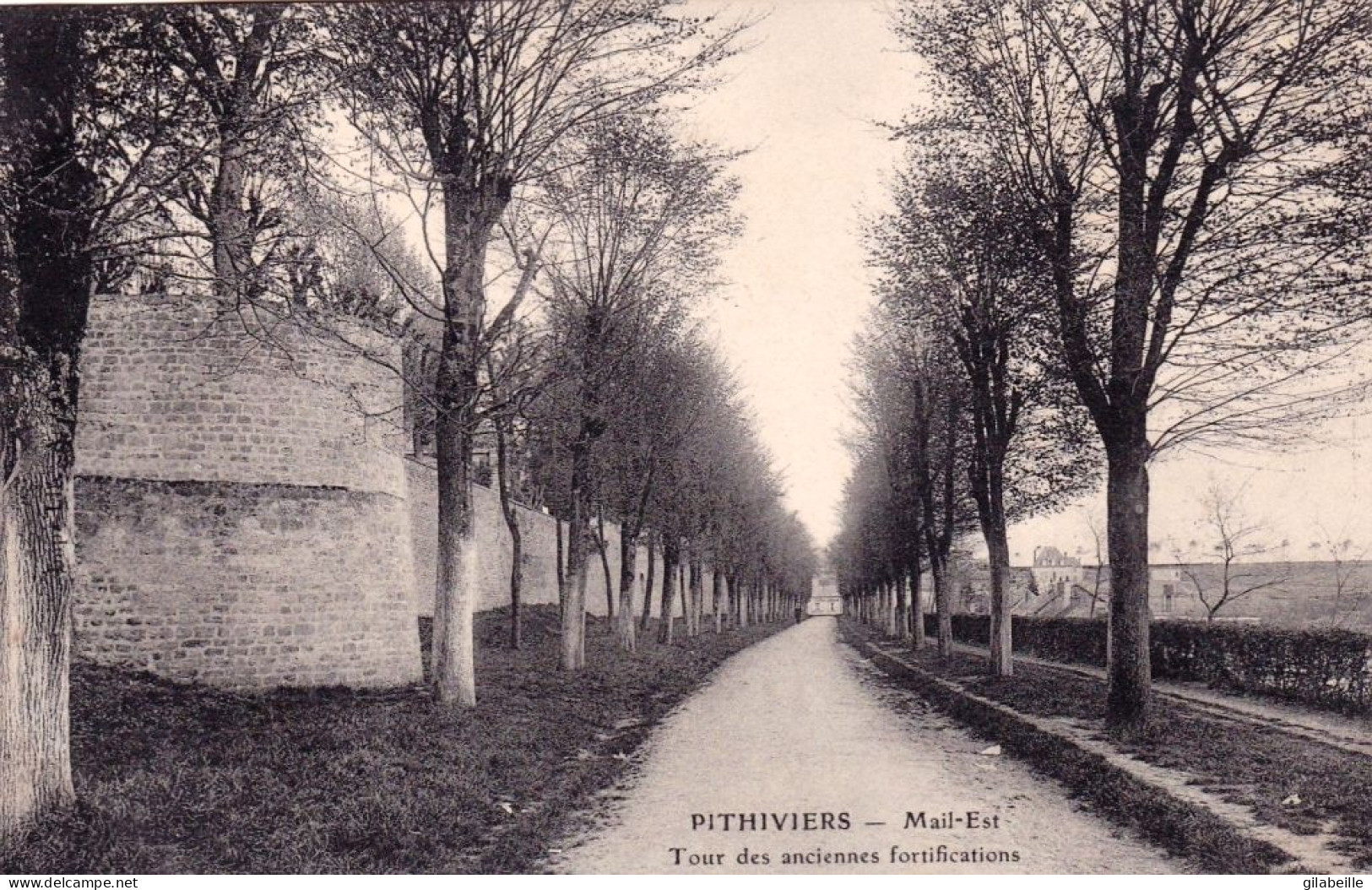 45 - Loiret - PITHIVIERS -  Tour Des Anciennes Fortifications - Pithiviers